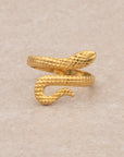 anillo de serpiente